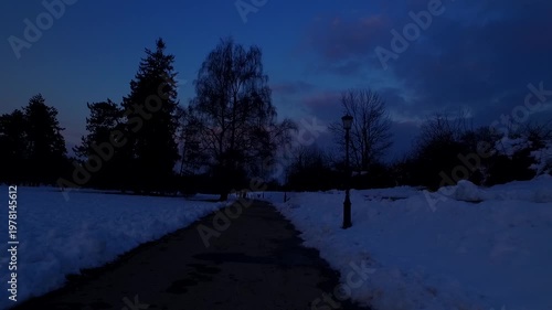 Silhouettes of trees and houses in a town at night, by the end of the day in bold sunset sky.