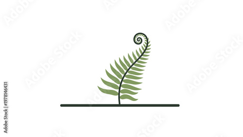 A stylized illustration of a curled fern frond unfurling upward from a horizontal line