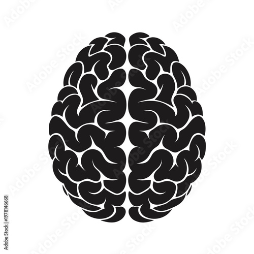 Human brain silhouette vector icon, anatomical brain symbol for psychology and neurology, black cerebral cortex illustration on white background