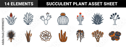 Desert Cactus and Succulent Botanical Art