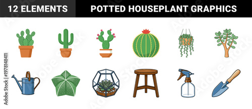 Potted Cacti and Succulent Plant Graphics