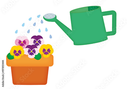 パンジーにじょうろで水をあげるイラスト/An illustration of watering pansies with a watering can.