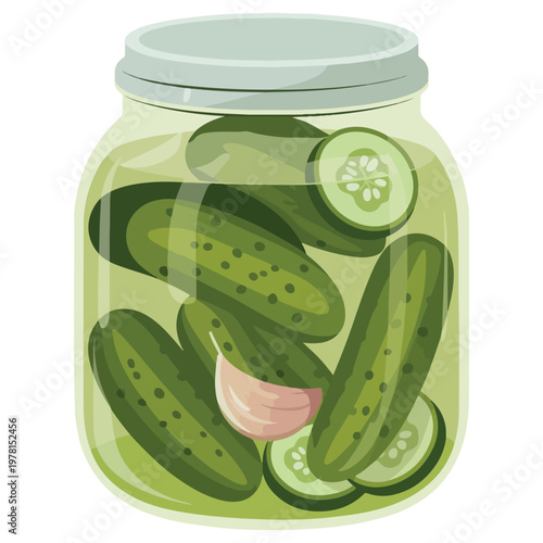 Pickled cucumbers in glass jar with garlic clove vector illustration. Homemade dill pickles in mason jar isolated on white background. Fermented green gherkins and cucumber slices in glass container