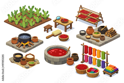 Ancient textile dyeing process with natural dyes and cactus cultivation