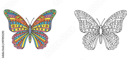Colorful Patterned Butterfly Coloring Page for Kids and Adults, Intricate Butterfly Wings Illustration with Black and White Line Art Vector Set for Education and Creative Fun Activity