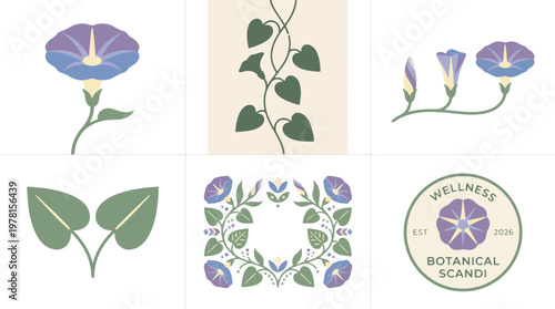 Serene flat design vector illustrations of purple morning glory flowers, green leaves, and a botanical scandinavian wellness logo on a light background.