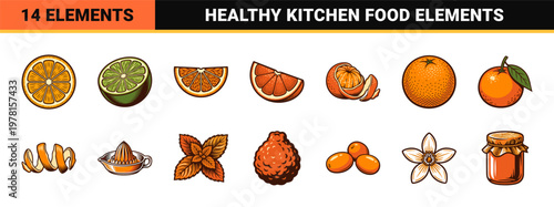 Citrus Fruit Woodcut Style Vector Asset Sheet