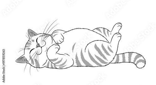 Charming black and white illustration of a striped tabby cat lying on its back in a playful and relaxed pose on white.