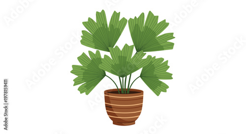 Beautiful potted plant with many large fan-shaped green leaves growing in a decorative brown and tan striped pot.