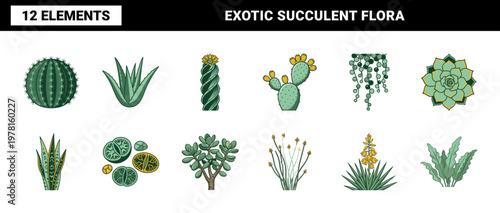 Exotic Desert Succulents Botanical Kit