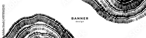 Banner with wood annual rings texture. Black and white template with tree ring pattern. Grunge background. Stamp of tree trunk in section. Wooden concentric circles