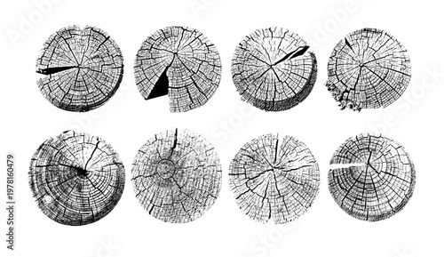 Set of tree stump prints isolated on white. Wooden silhouette. Wood texture with concentric rings. Wood in cross section. Black and white wooden annual rings textures. Tree ring pattern