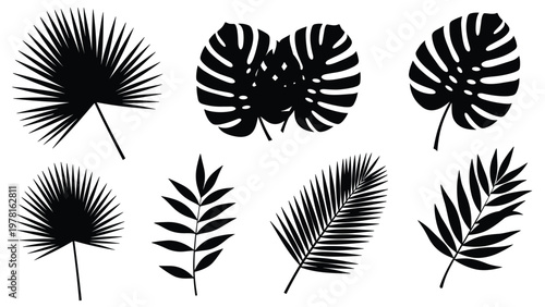 Selection of black silhouettes of various tropical leaves including palm and monstera for graphic design and botanical pattern art.
