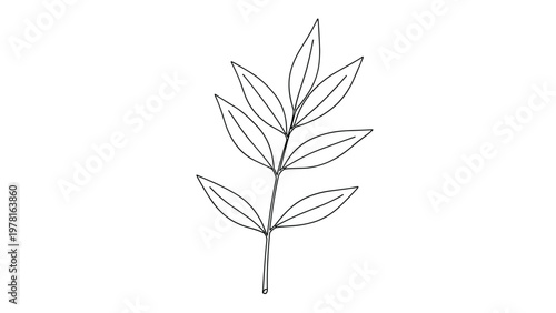 Minimalist line art drawing of a slender tree branch with pointed green leaves arranged symmetrically against a solid white background.