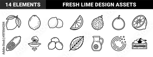 Citrus Fruit Minimalist Line Art Kit