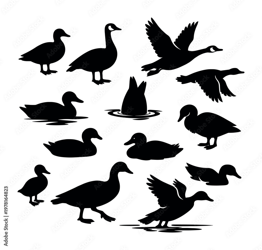 Fototapeta premium Waterfowl collection featuring ducks and geese, useful as icons, symbols, or elements for graphic design projects