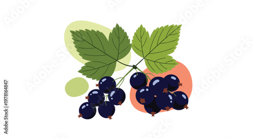 Fresh ripe blackcurrant berries on stem with green leaves over abstract colored shapes representing healthy organic fruit.
