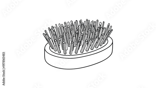 Simple black and white line drawing of a round hairbrush with multiple bristles used for grooming and personal care routines.