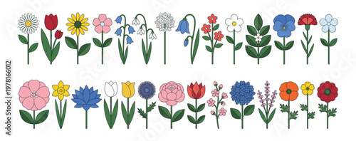 Colorful Flowers Collection. Spring and Summer Blooming Plants, Tulip, Daisy, Rose, Sunflower, Bluebell. Botanical Garden Floral Set. Flat Vector Illustrations Isolated on White Background