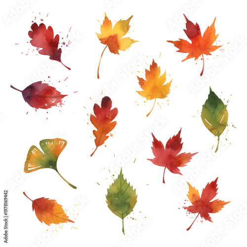 Abstract watercolor collection of autumn leaves hand drawn nature design elements isolated on white background