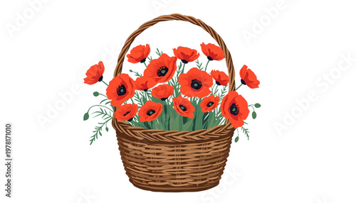 vector illustration of red poppies in a wicker basket isolated on transparent background