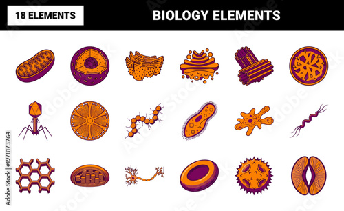Microbiology Cellular Anatomy Vector Set