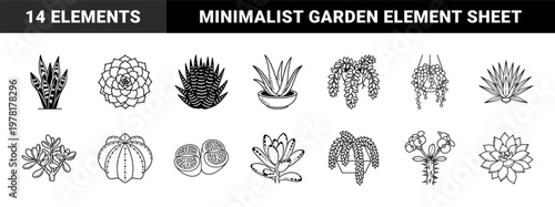 Succulent Botanical Line Art Graphic Set