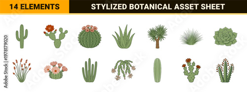 Desert Botanical Cactus and Succulent Kit