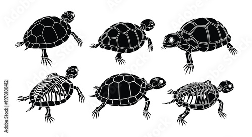 Four black silhouettes of turtles in various walking poses