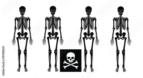 Four stylized skeletons stand in a row with a skull and crossbones