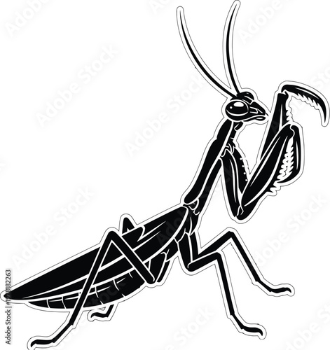 Title elegant praying mantis illustration a detailed black and white depiction description a striking black and white illustration showcases a praying mantis