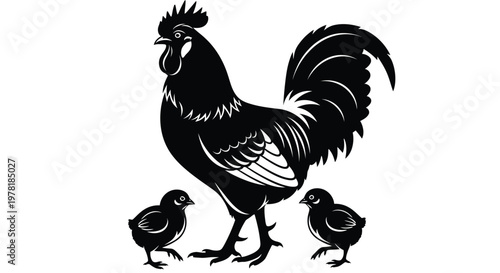 Black rooster, chicks vector illustration, farm animal icons, poultry set