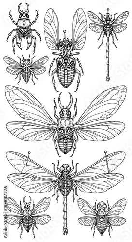 A detailed illustration of various insect species and beetles