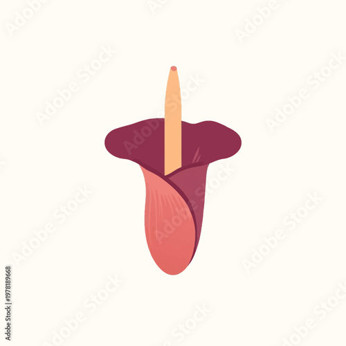 corpse flower titan arum