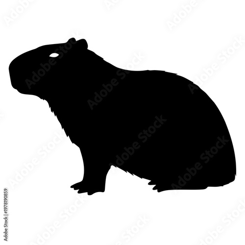 A black silhouette of a capybara on a white background