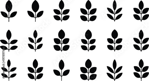Foto Abstract minimalist plant twig collection with symmetrical leaf arrangement stem