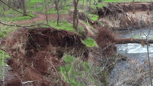 Collapsed riverbank after flooding, uprooted trees, fallen trunks, turbulent stream