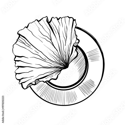 Lettuce leaf on plate in minimalist vector line art. Top view round dish for vegan menu design, vegetarian food packaging, organic salad bar branding and healthy plant-based lifestyle graphics