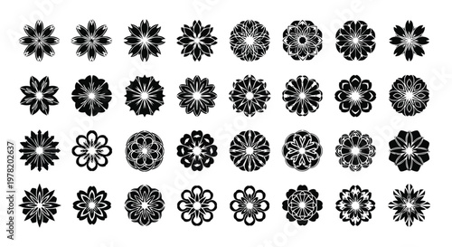 Intricate geometric patterns of interconnected circular designs with floral motifs