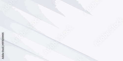 Abstract white feather and paper background