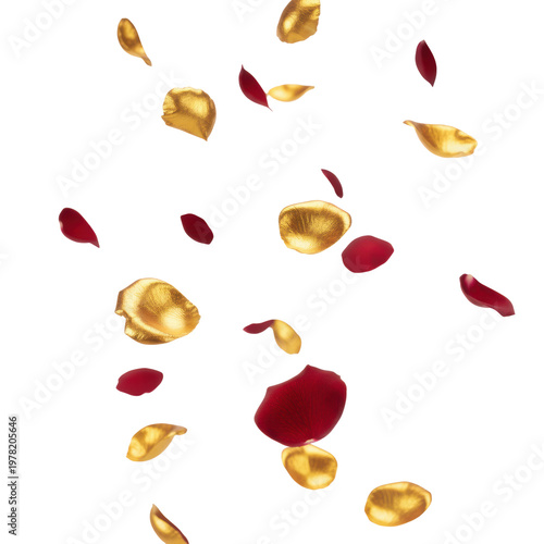 Crimson and metallic gold flower petals tumbling through the air against a transparent studio background, capturing a sense of fragile ephemeral beauty