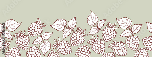 Seamless Border with Outline Blackberries and Leaves on Sage Green Background. Botanical Fruit Web Divider. Berry Horizontal Ribbon. Line drawing, coloring. Vector Illustration. Website Header.