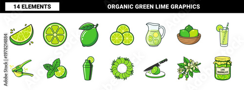 Fresh Lime Citrus Fruit Vector Asset Sheet