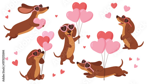 Cute dachshund dogs with hearts and balloons, love and Valentine concept. Vector illustration set
