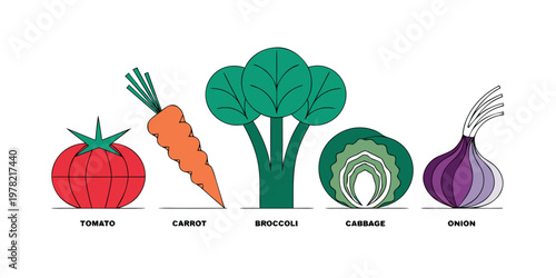 Collection of modern linear style vegetable icons featuring tomato carrot broccoli cabbage onion vegetables broccoli nutrition ingredient agriculture vegetarian colorful