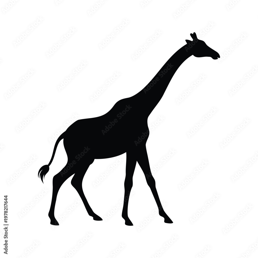 Fototapeta premium Elegant silhouette of a giraffe walking, vector illustration design, giraffe stretching neck silhouette vector illustration