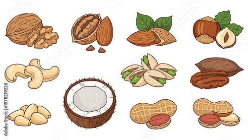 Healthy assortment of various nuts like walnuts almonds peanuts and a split coconut are displayed for a nutritious diet.