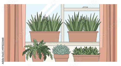 Row of various potted plants including aloe vera and succulents sits on a windowsill between soft pink curtains, showing an indoor garden.