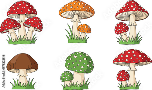 Colorful mushroom collection with spotted toadstools and forest fungi variety cartoon vector illustration set isolated on white background