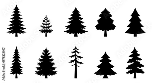 Pine tree silhouette collection, 10 evergreen conifer vector elements, black spruce and fir tree icons for winter landscape design